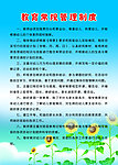 教育常规管理制度