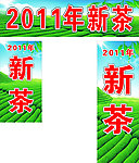 2011年新茶