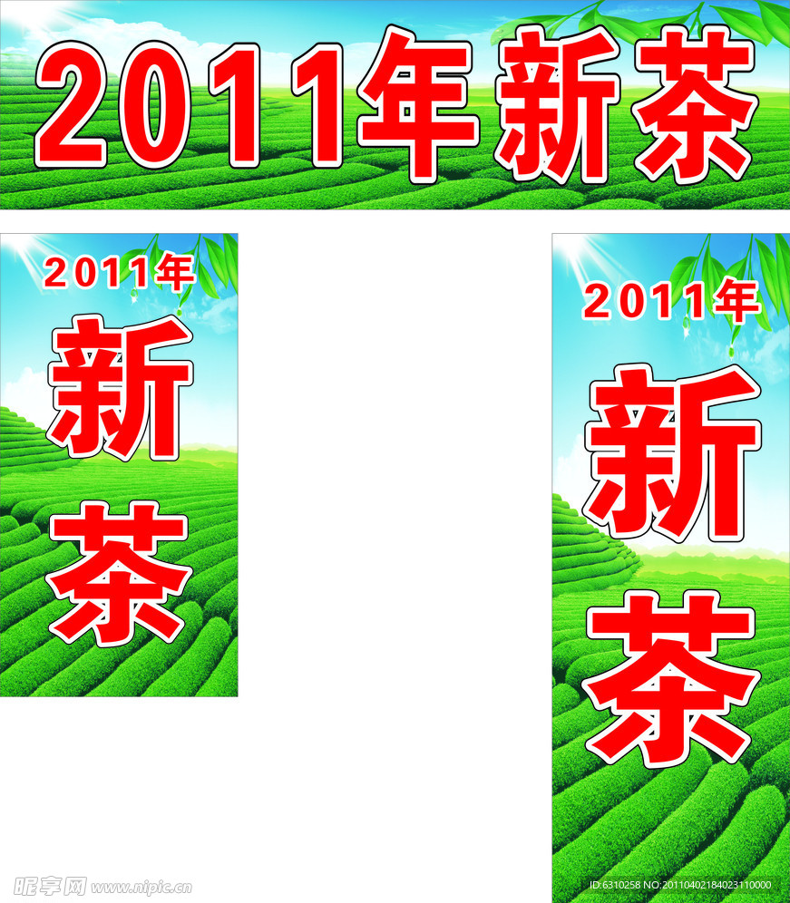 2011年新茶