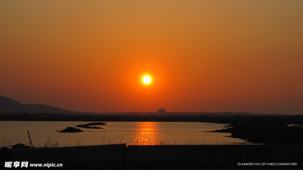 夕阳红