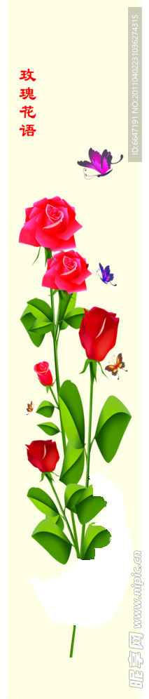 玫瑰花语