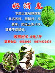 好消息 海报