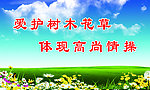 爱护树木展板