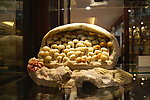 玉豆芽