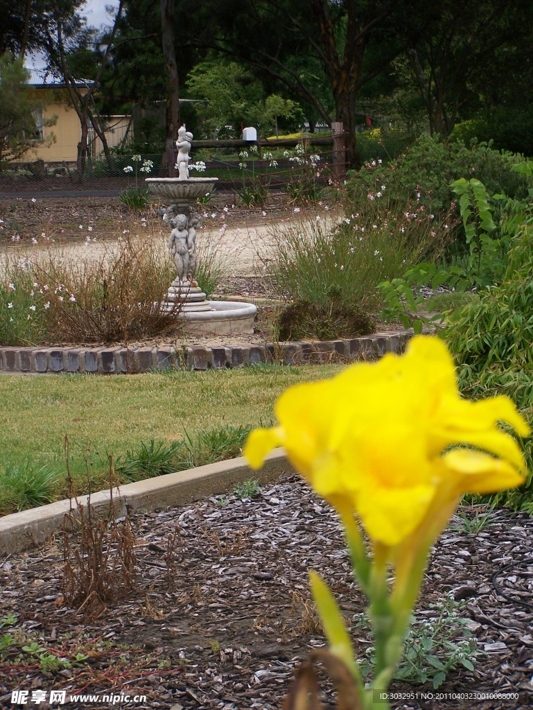 花草图片