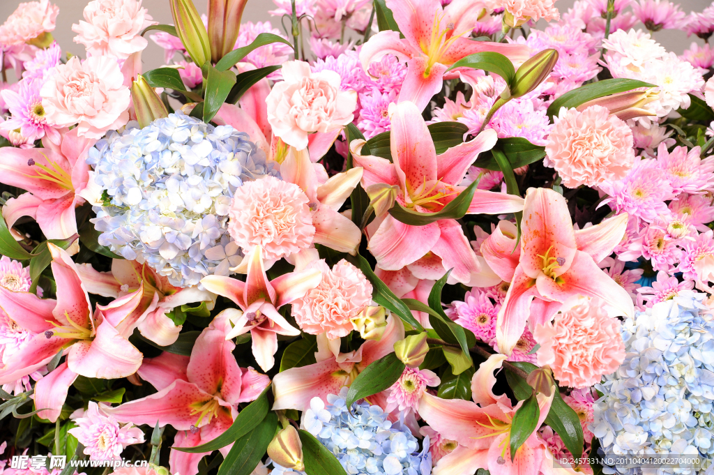 漂亮鲜花