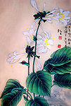 玉簪