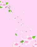 花舞迷香