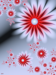 花纹