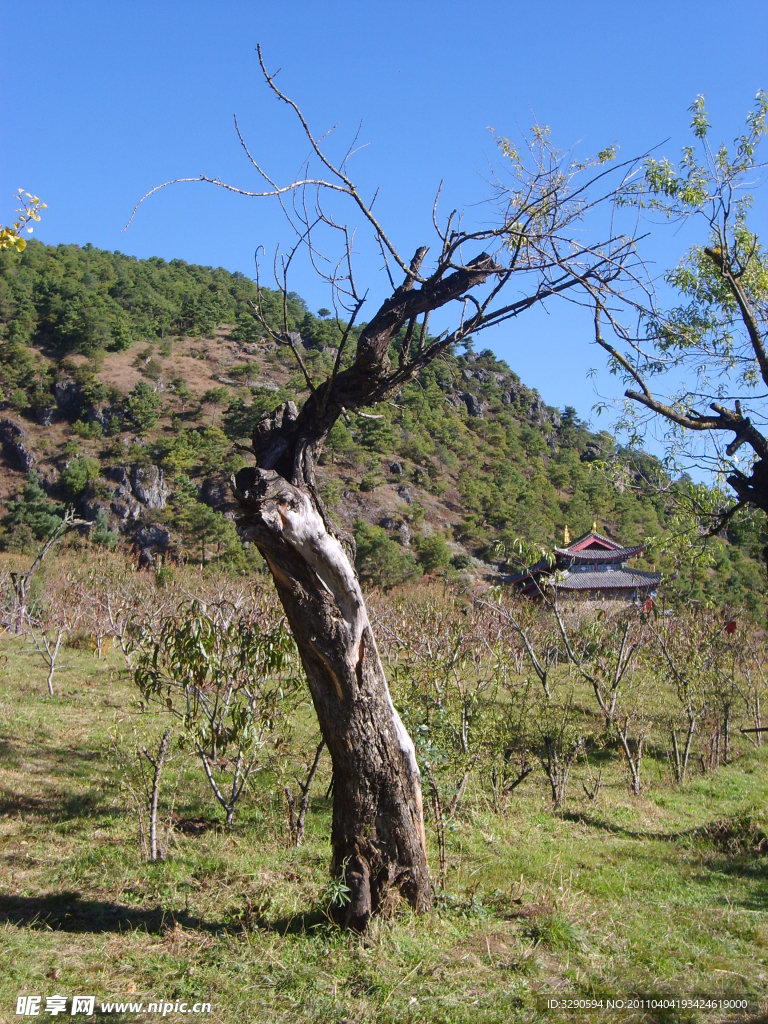 云南风景图片