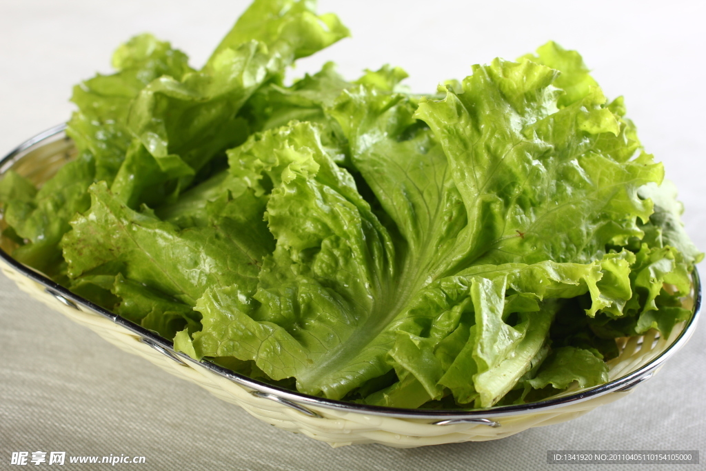 生菜