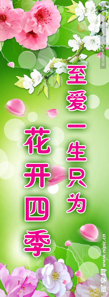 春天展板