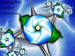 炫彩花纹