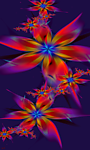 抽象花纹