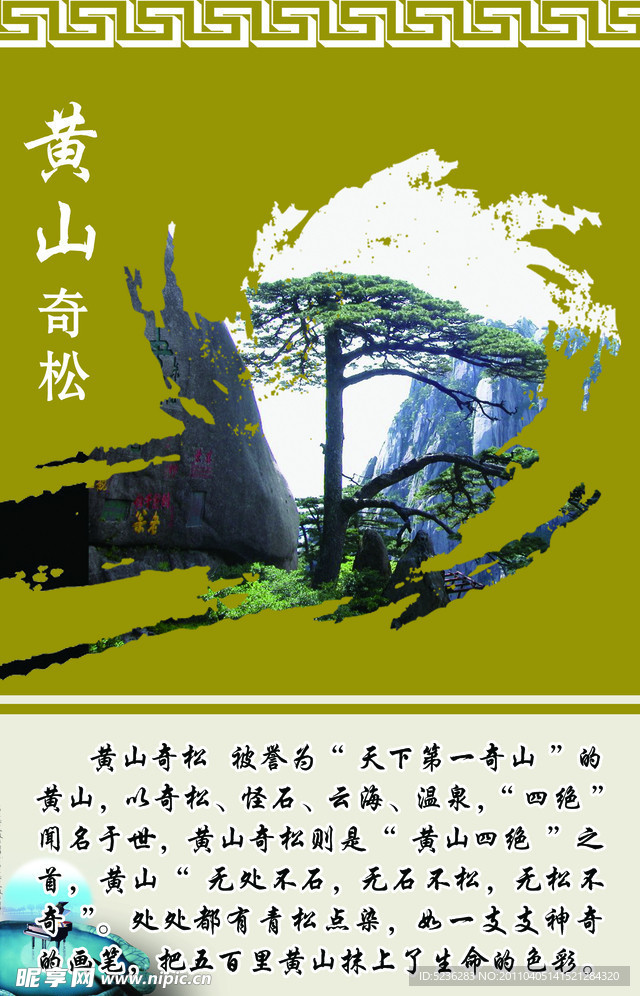 黄山奇松