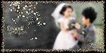 相册模版