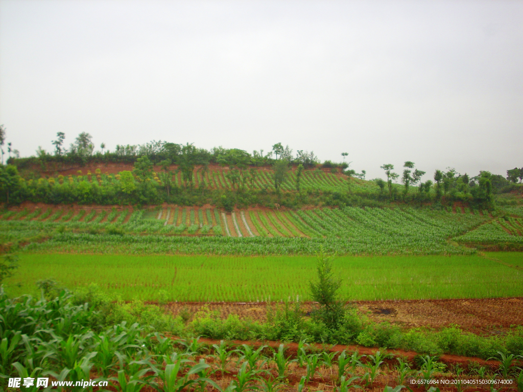 田园风光 风景 丘陵