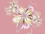 抽象花纹