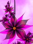 紫色花纹