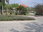 东莞市塘厦镇大坪嶂森林公园