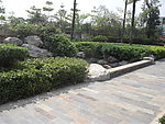 东莞市塘厦镇大坪嶂森林公园