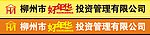 好年华投资公司