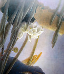 水墨 荷花