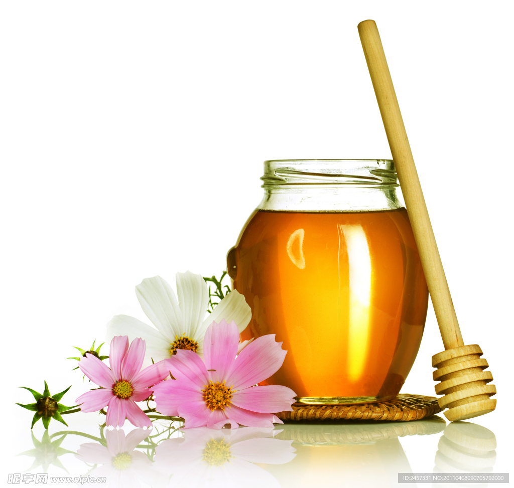 蜂蜜和菊花