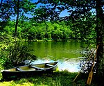 自然风景