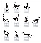 黑猫开关贴