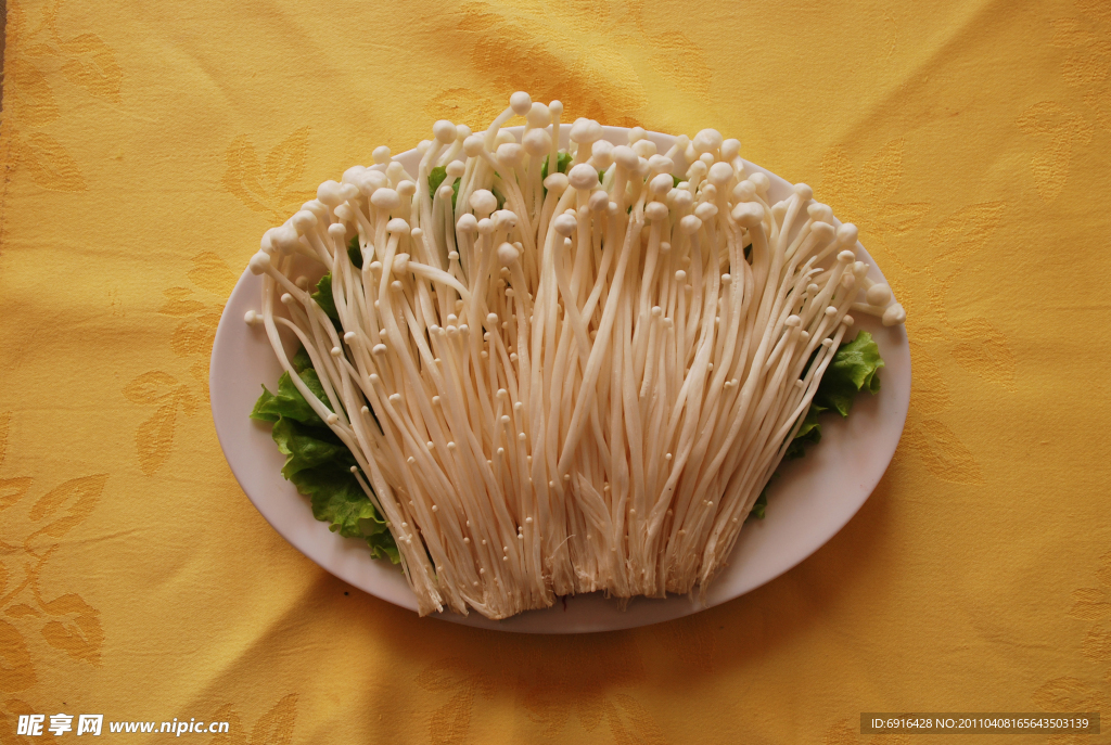 金针菇