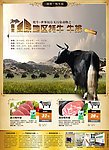 高原牦牛排广告版面