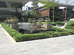 东莞市塘厦镇大坪嶂森林公园