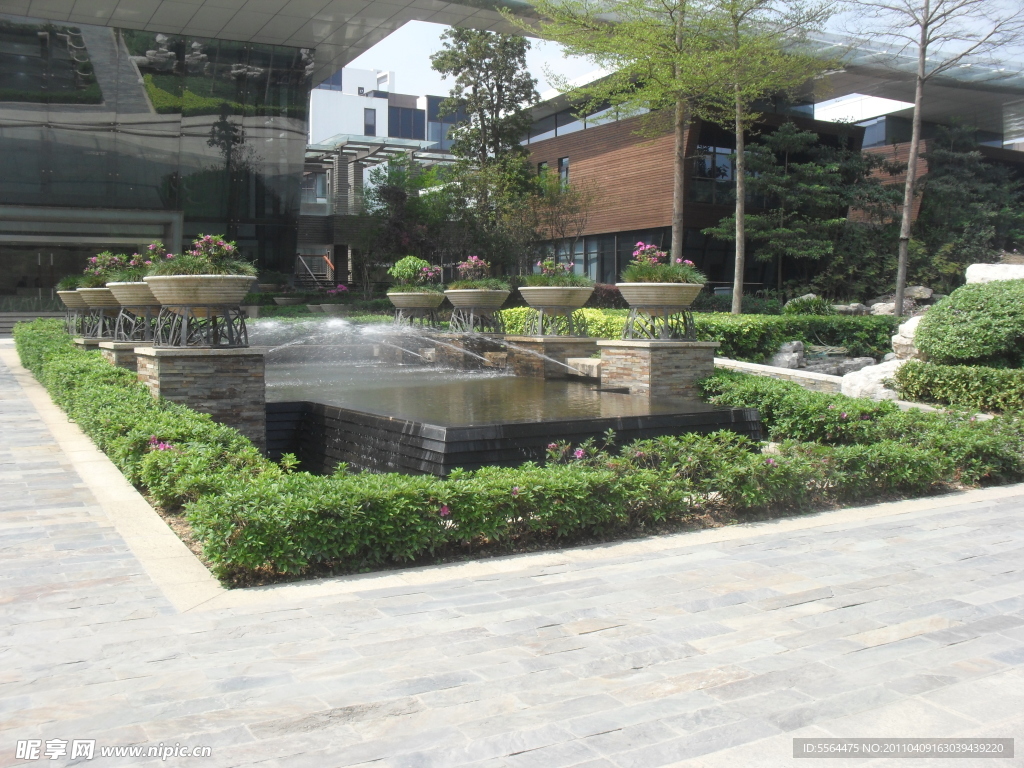 东莞市塘厦镇大坪嶂森林公园