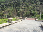 东莞市塘厦镇大坪嶂森林公园