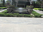 东莞市塘厦镇大坪嶂森林公园