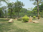 东莞市塘厦镇大坪嶂森林公园
