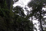 青城山