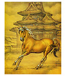 野马