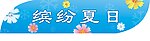 缤纷夏日