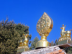 金顶