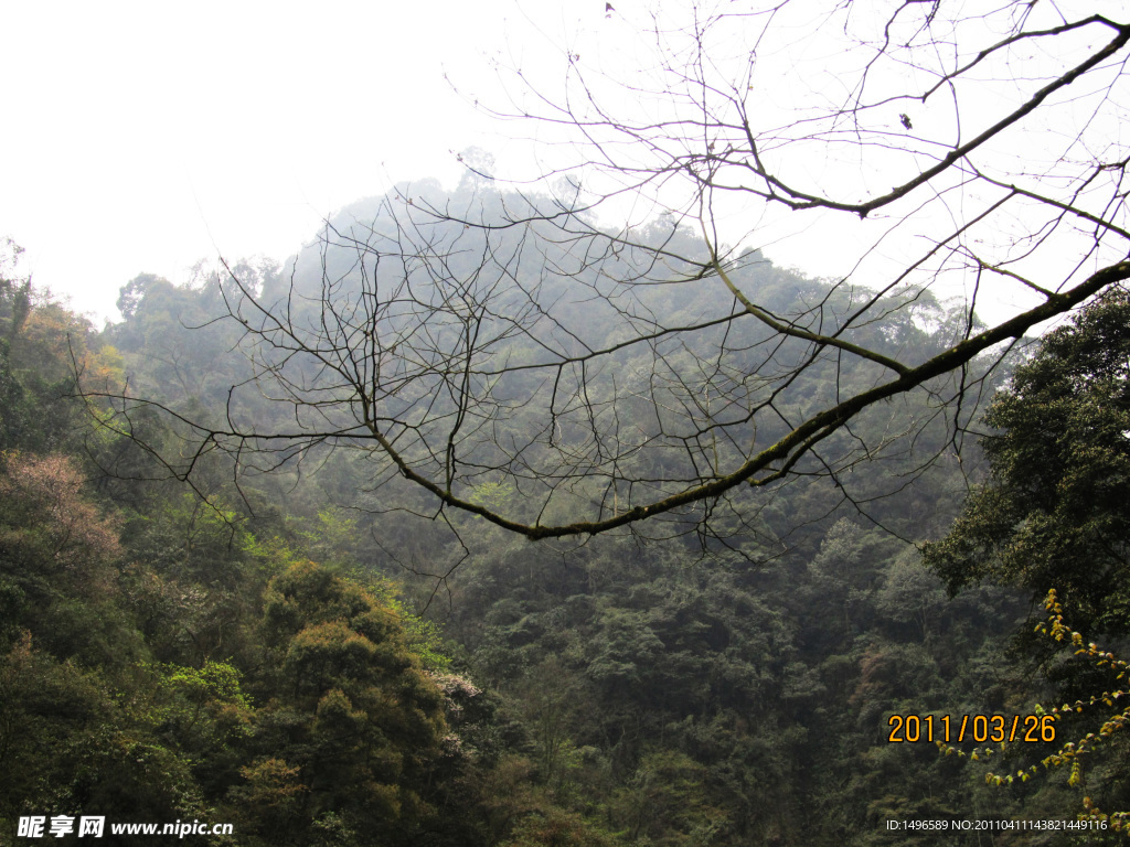 自然风景