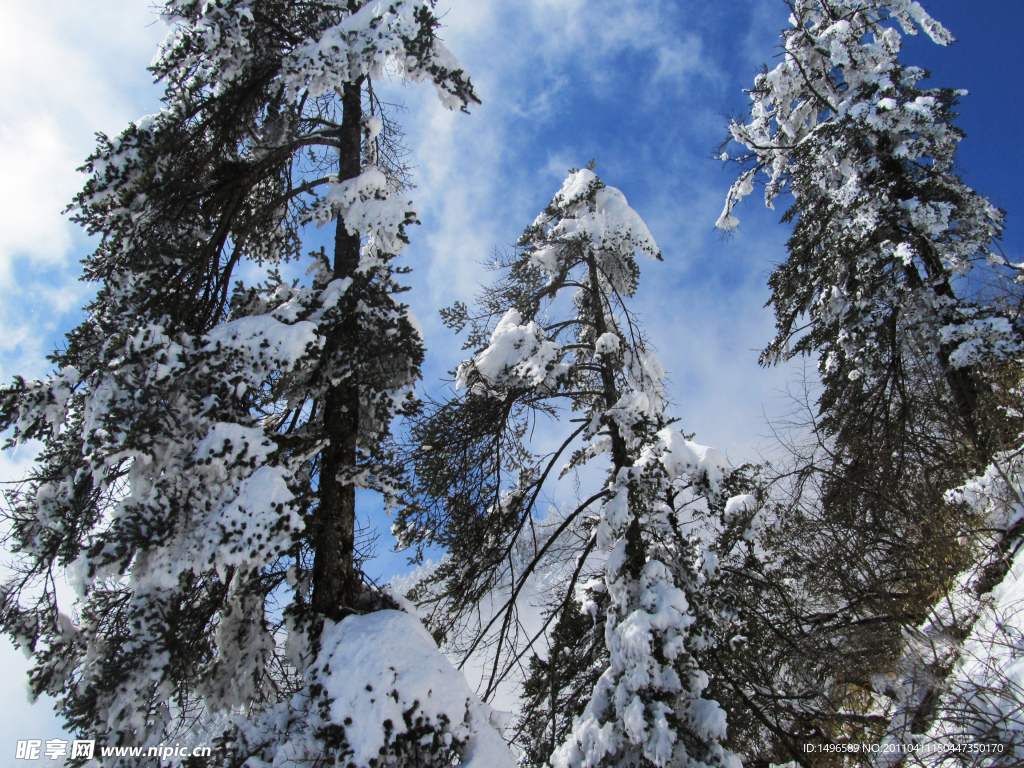 雪景素材
