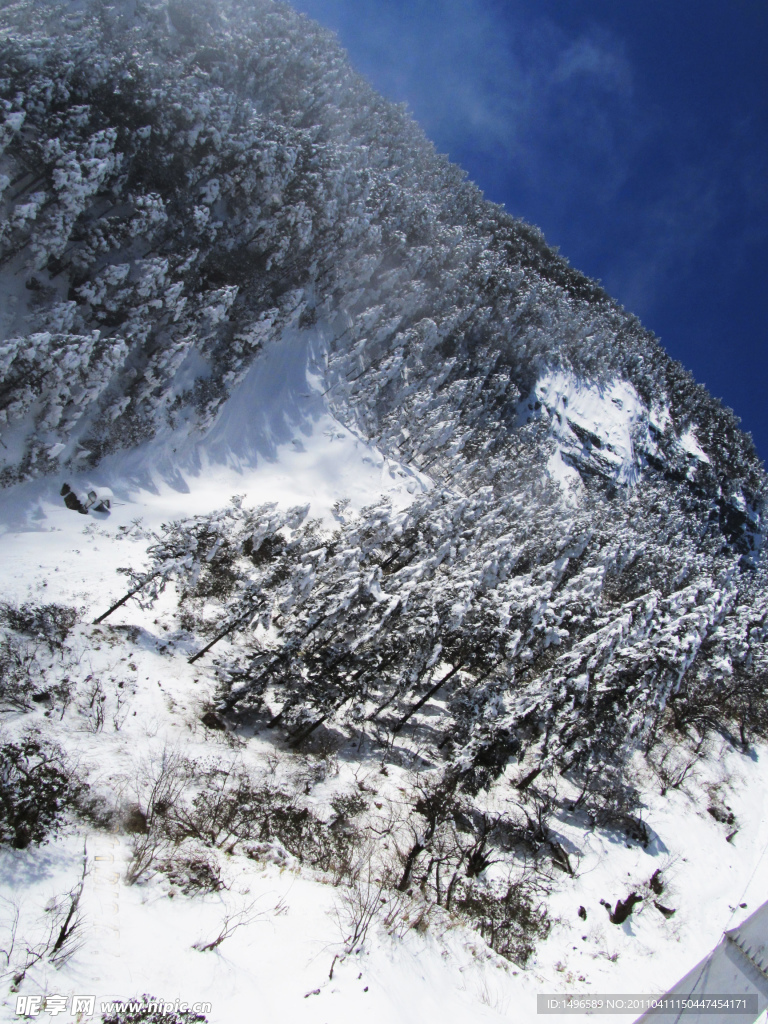 雪景