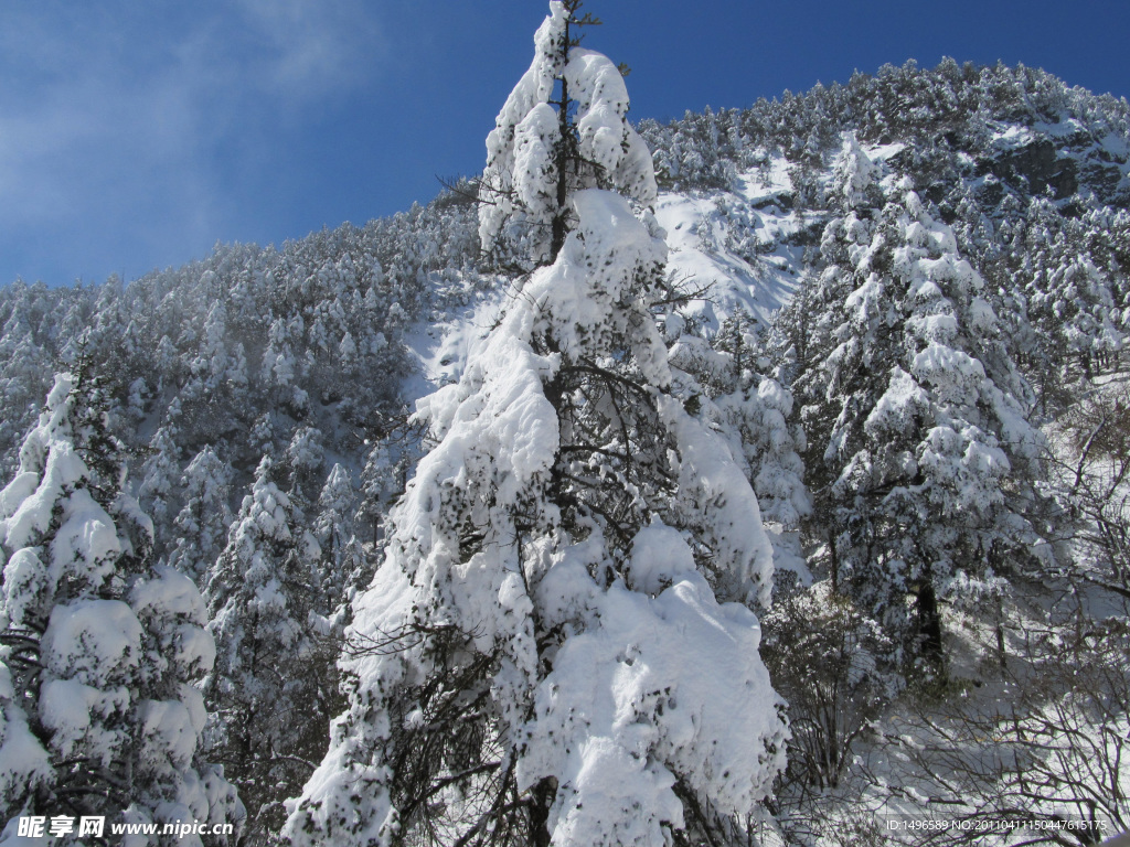 雪景素材