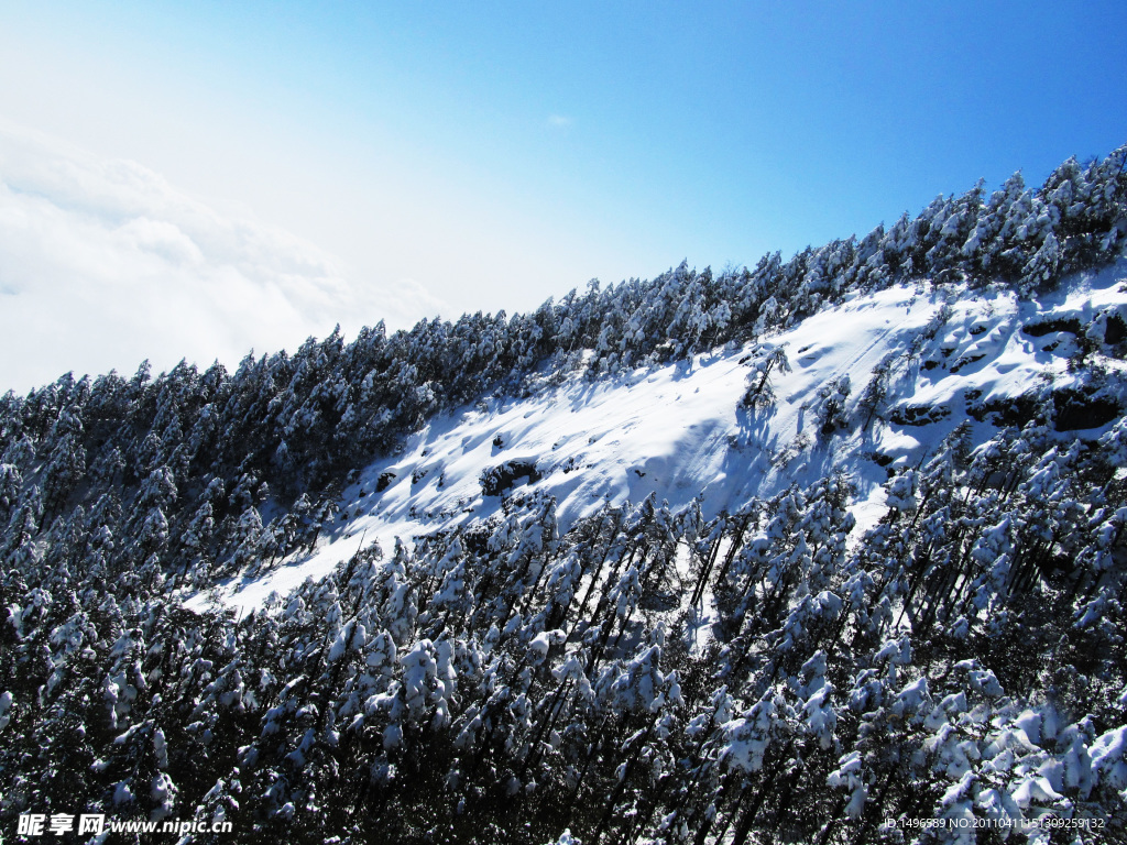 雪景素材
