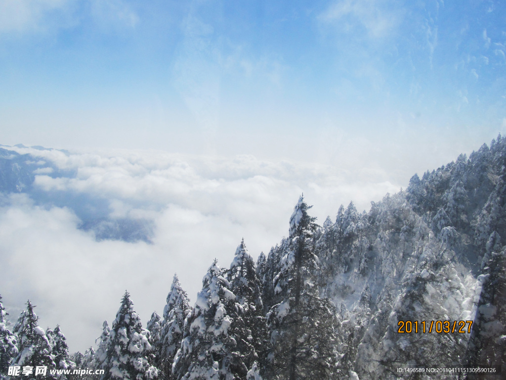 美丽的雪景