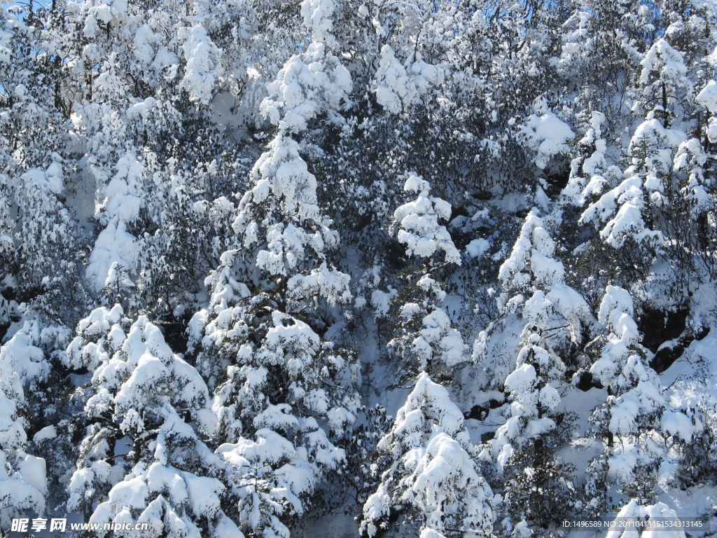 雪景素材