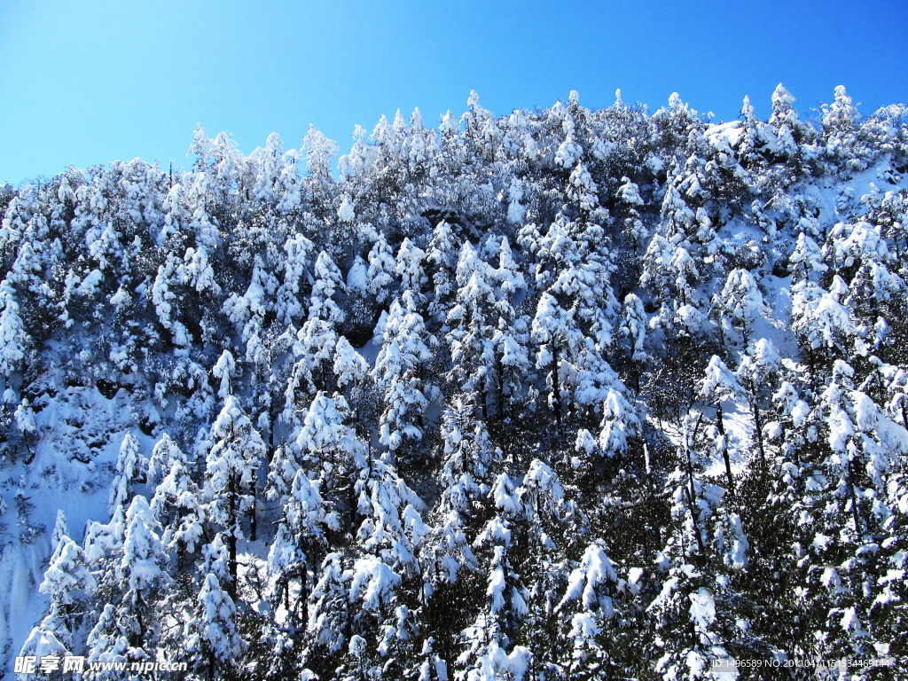 雪景素材