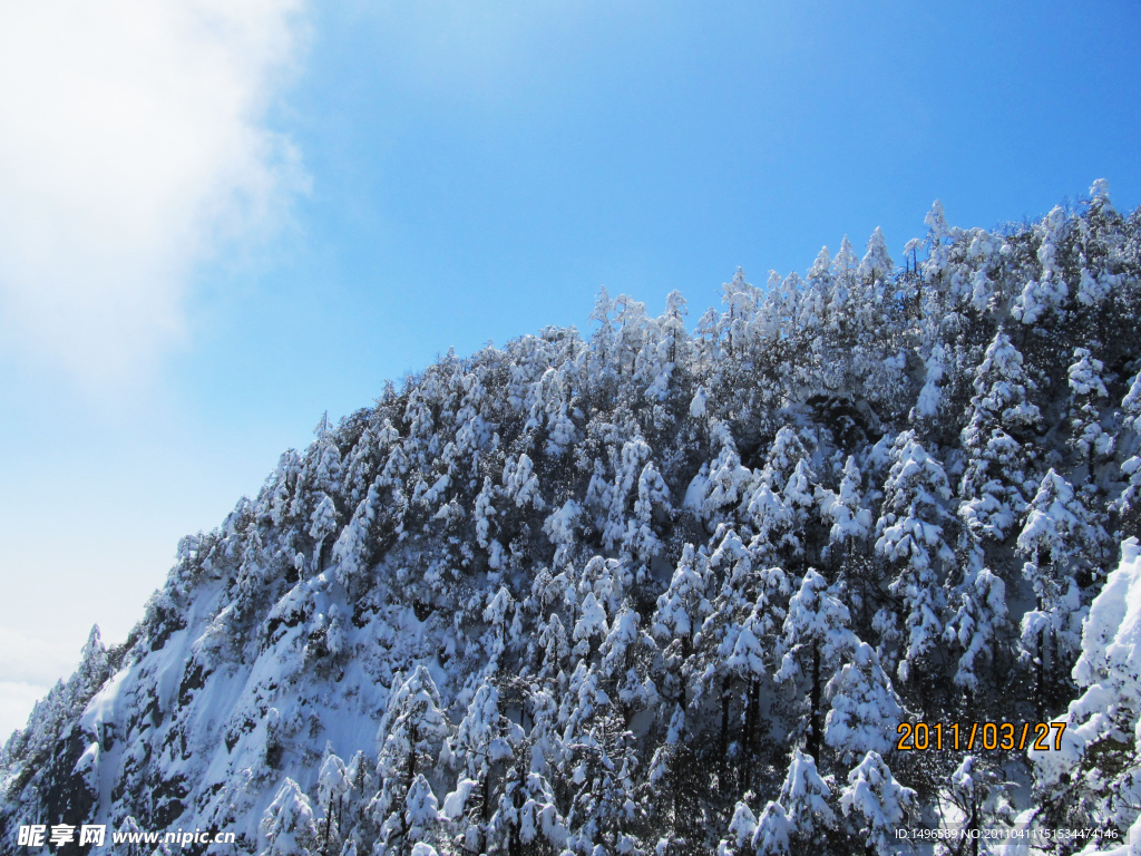 雪景